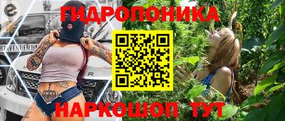 бошки Кимры