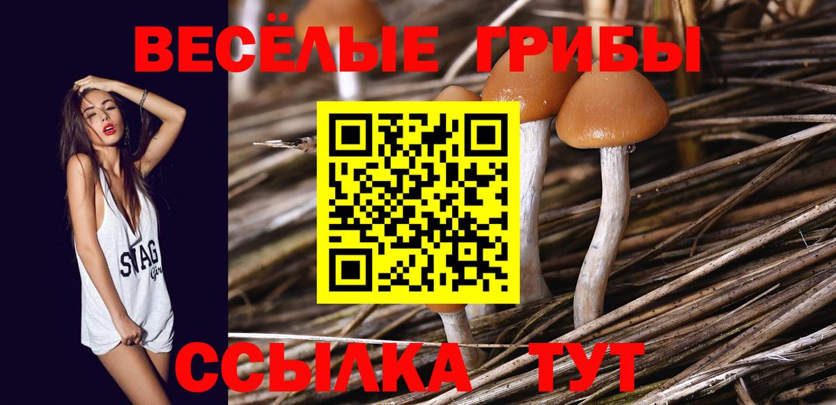 Галлюциногенные грибы GOLDEN TEACHER  Вход с VPN  Коммунар 