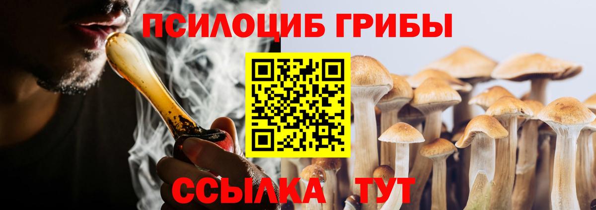 Галлюциногенные грибы GOLDEN TEACHER Коммунар